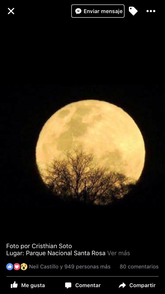 15078944_1347193838645050_1925593980315604778_n